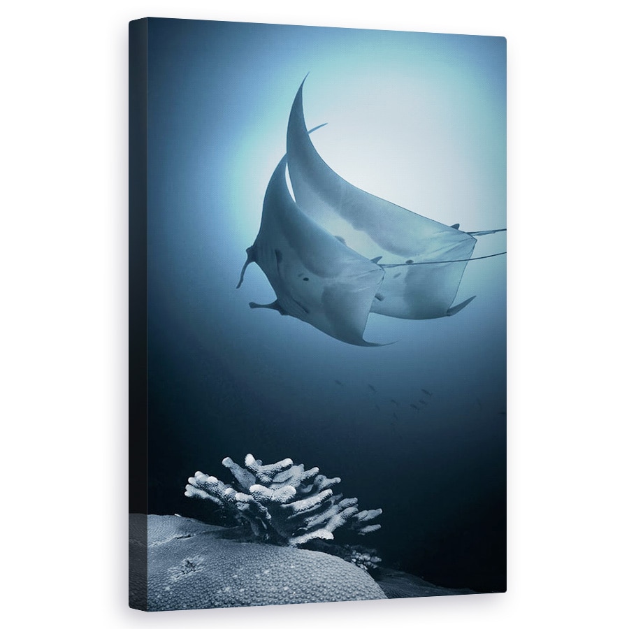 Tablou canvas - Sonata, Apa, Ray, Danseaza, Sub Apa, Cuplu, 50 x 80 cm