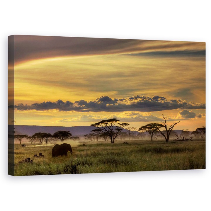 Afrika, Tanzánia, Elefánt, Táj, Vad - Vászonkép, 60 x 100 cm