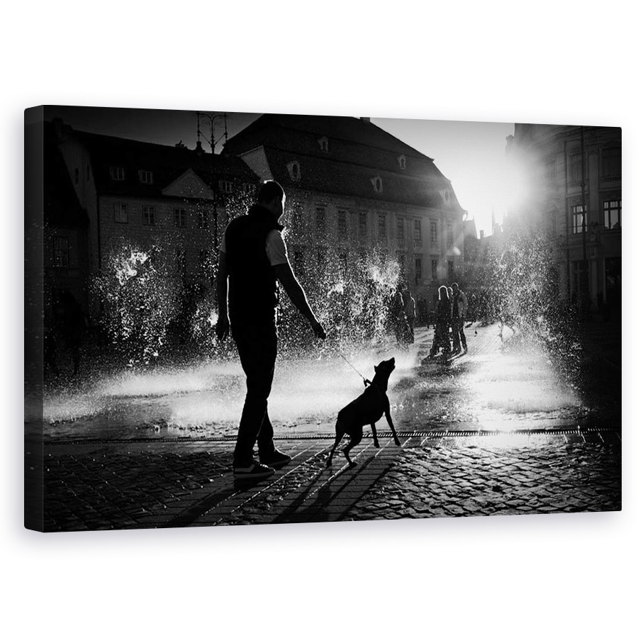 Tablou canvas - Zi Fierbinte, Strada, Caine, Pet, Soare, Lumina, 50 x 80 cm