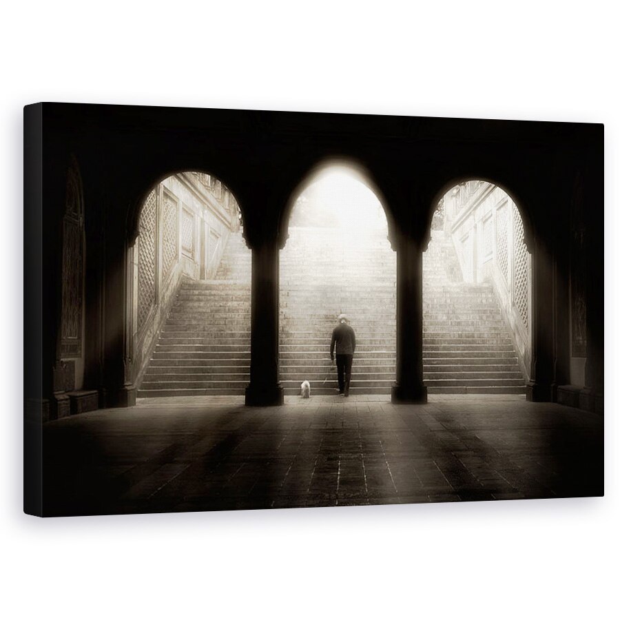 Tablou canvas - Plimbarea Matinala, Om, Caine, Arcuri, Arhitectura, 60 x 100 cm