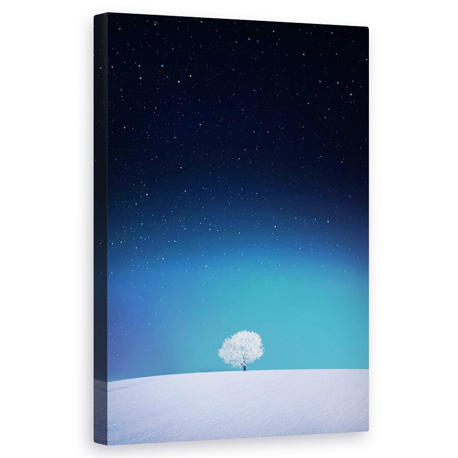 Tablou canvas - Mar, Iarna, Stele, Cer, Zapada, Noapte, 60 x 100 cm