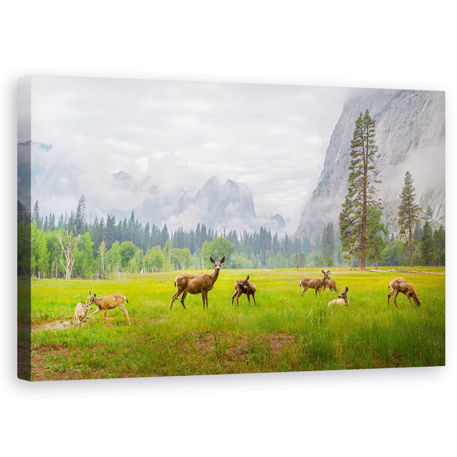 Tablou canvas - Un Sentiment Al Vremurilor Antice, Cerb, Yosemite, Caprioara, Grup, Salbatic, 60 x 100 cm