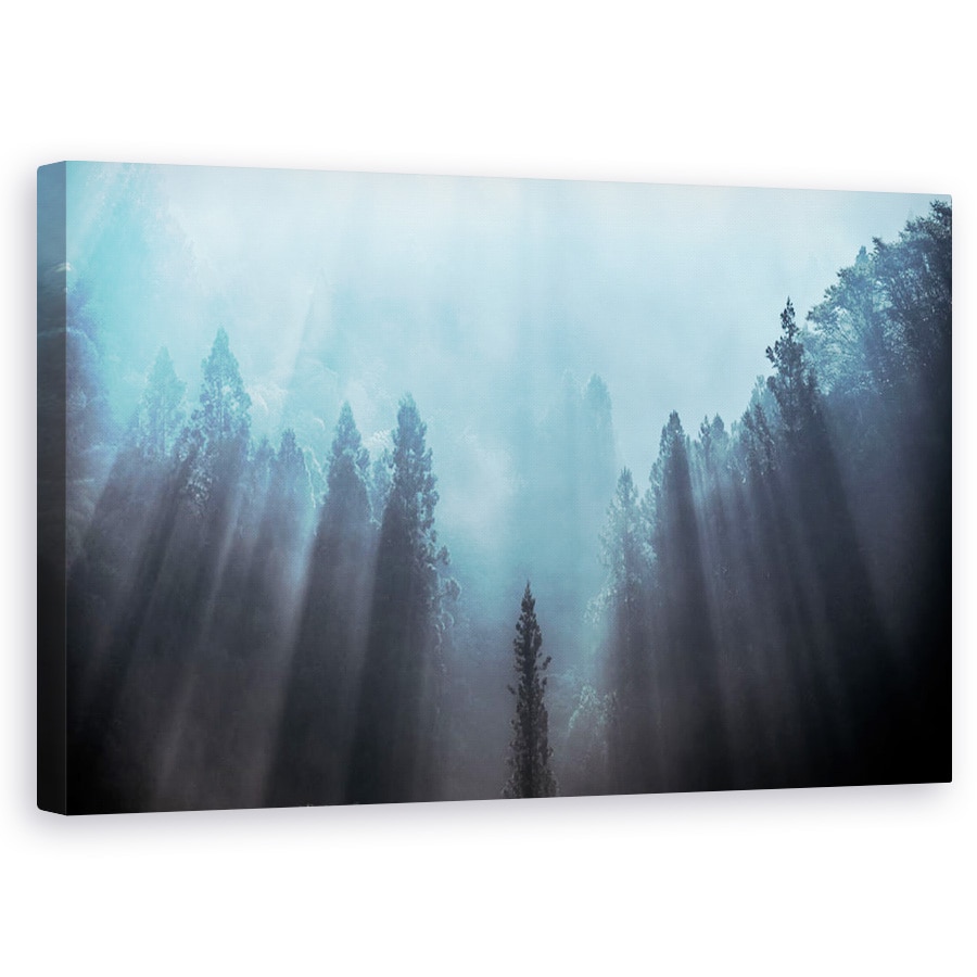 Tablou canvas - Lumina Pentru A Fi Crezut Probabil, Padure, Ceata, Japonia, Munte, Lumina, 60 x 100 cm