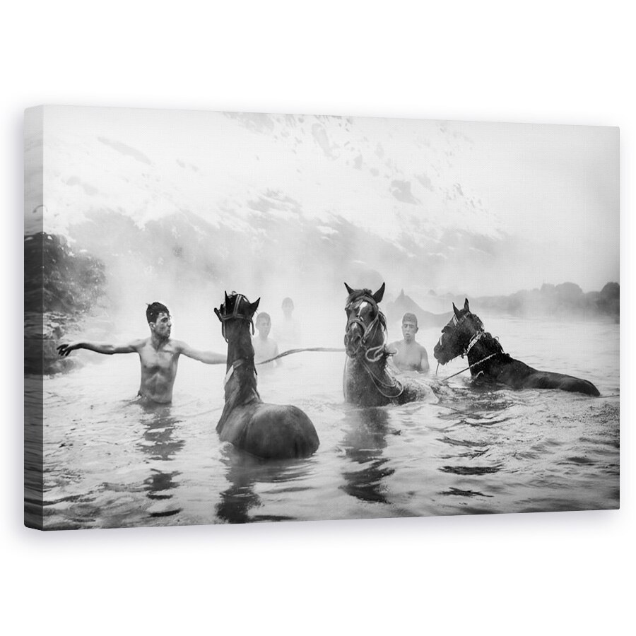 Tablou canvas - Pauza Fierbinte La Spa, Cai, Iaz, Curcan, Inot, Inot, 60 x 100 cm