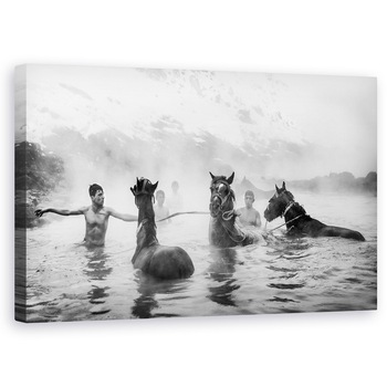 Tablou canvas - Pauza Fierbinte La Spa, Cai, Iaz, Curcan, Inot, Inot, 50 x 80 cm Tablou canvas - Pauza Fierbinte La Spa, Cai, Iaz, Curcan, Inot, Inot, 50 x 80 cm