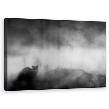 Tablou canvas - Ceata, Pisica, Ceata, Ceata, Incetosat, Misterios, 60 x 100 cm Tablou canvas - Ceata, Pisica, Ceata, Ceata, Incetosat, Misterios, 60 x 100 cm