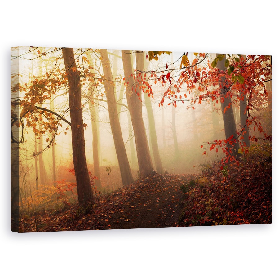 Tablou canvas - Spre Lumina, Padure, Danemarca, Skive, Rosu, Padure, 60 x 100 cm