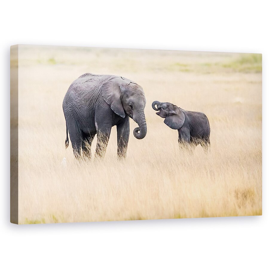 Tablou canvas - Mama Elefant Si Puii, Kenya, Safari, Copil, 50 x 80 cm