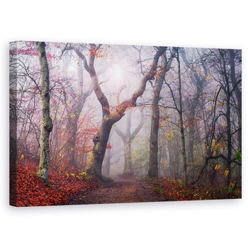 Tablou canvas - Megand Pe Vechiul Drum, Copac, Cale, Lumina, Padure, Peisaj, 60 x 100 cm Tablou canvas - Megand Pe Vechiul Drum, Copac, Cale, Lumina, Padure, Peisaj, 60 x 100 cm