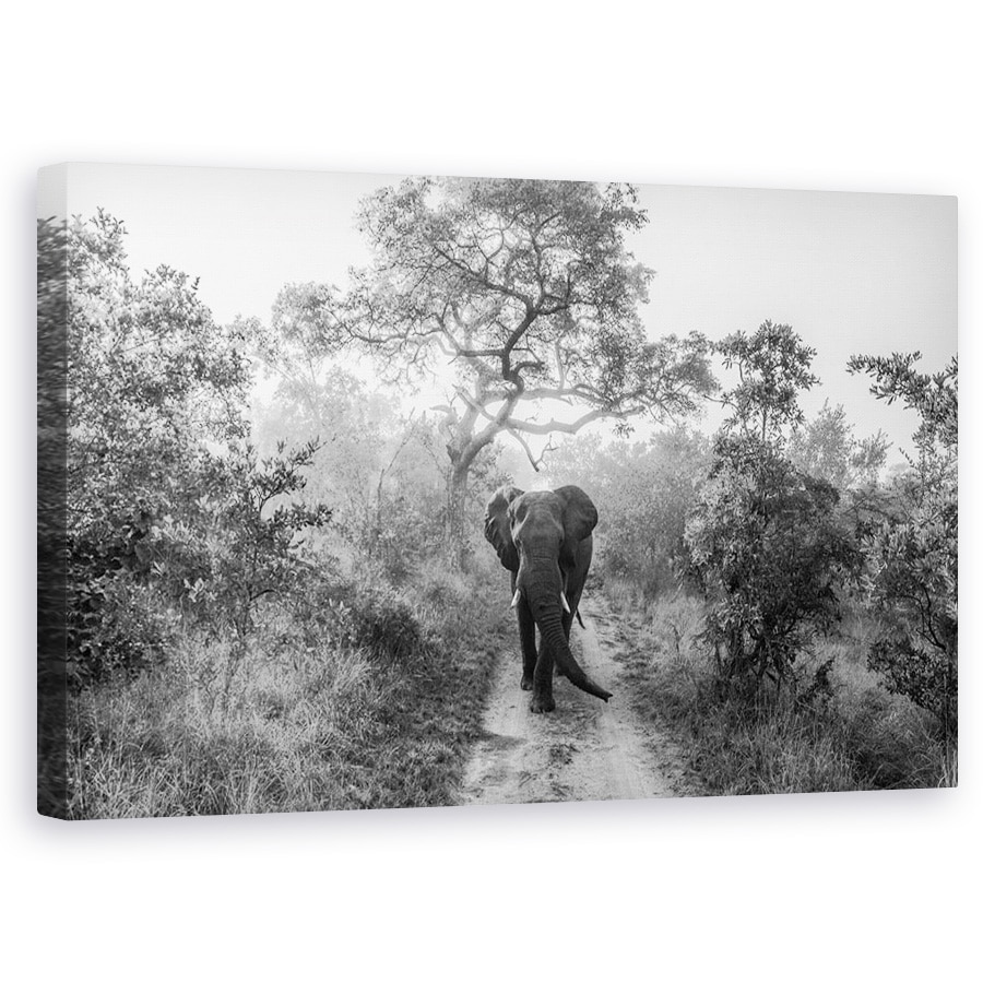 Tablou canvas - Gigant La Plimbare, Elefant, Salbatic, Africa, Safari, Natura, 60 x 100 cm