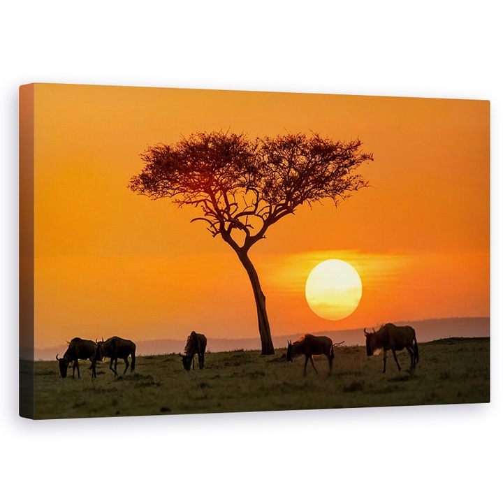 Szafari Apusban, Kenya, Safari, Apus De Soare, Gnu, Masai Mara - Vászonkép, 50 x 80 cm