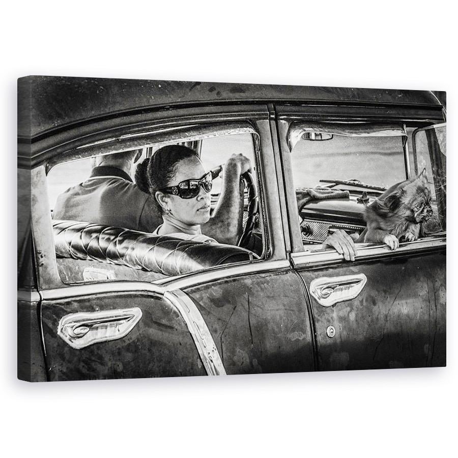 Tablou canvas - Transformarea In Malecon Havana, Cuba, Masina, Caine, Vizualizari, Strada, 60 x 100 cm