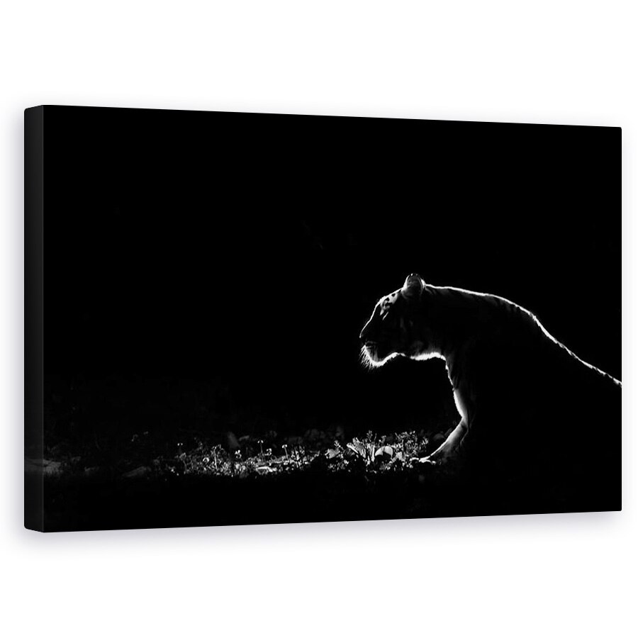 Tablou canvas - Intuneric, Leu, Intuneric, Punct, Punct, Schita, 50 x 80 cm