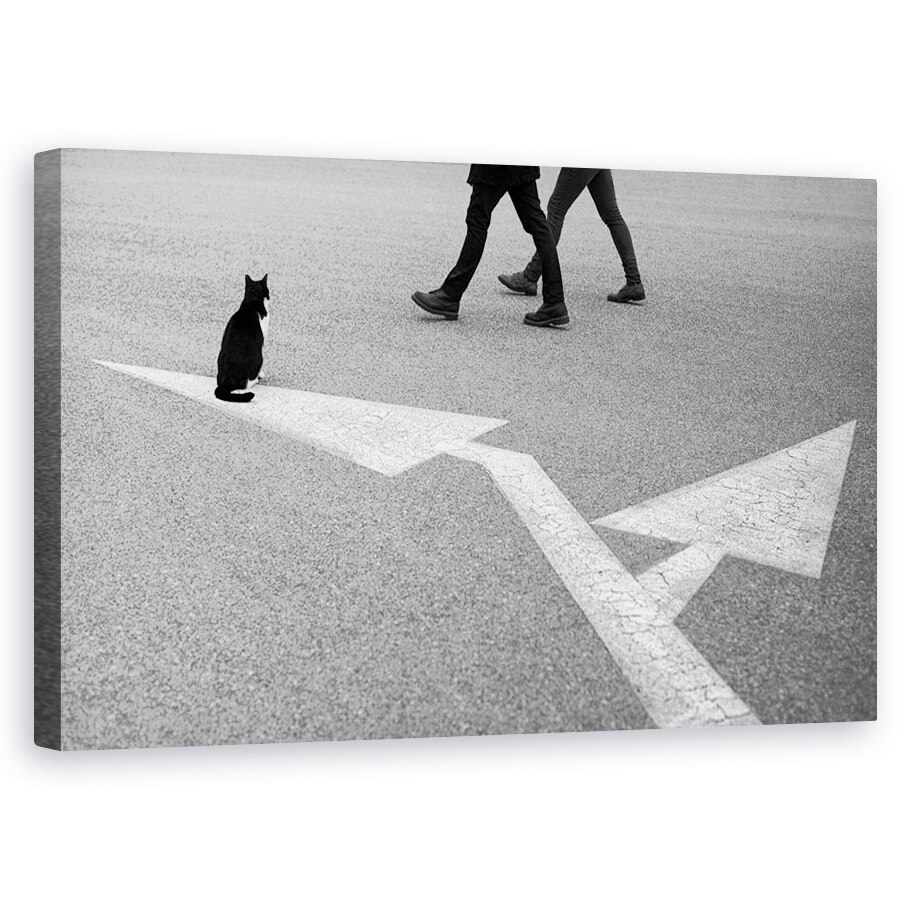 Tablou canvas - Alegeri, Alegeri, Cuplu, Pisica, Privind, Sageti, 50 x 80 cm