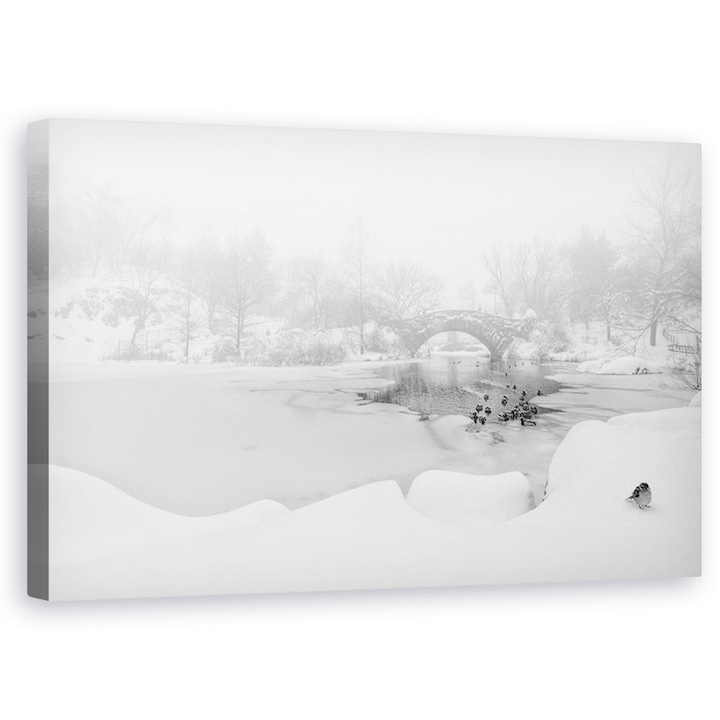 Első hó a Central Parkban, New York, jég - Vászonkép, 60 x 100 cm