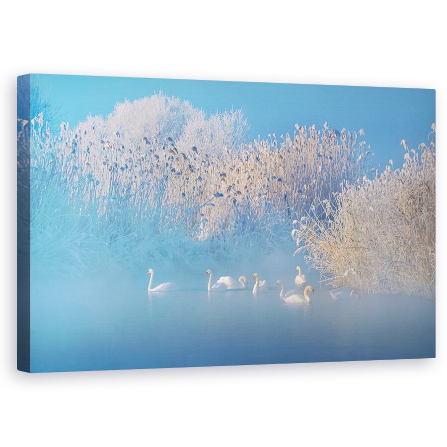 Tablou canvas - Lacul Lebedelor Albastre, Iarna, Ceata, 50 x 80 cm