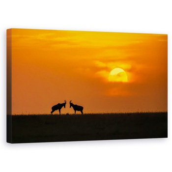 Tablou canvas - La Apusul Soarelui, Ibex, Capra, Pereche, Cuplu, Duo, 50 x 80 cm Tablou canvas - La Apusul Soarelui, Ibex, Capra, Pereche, Cuplu, Duo, 50 x 80 cm