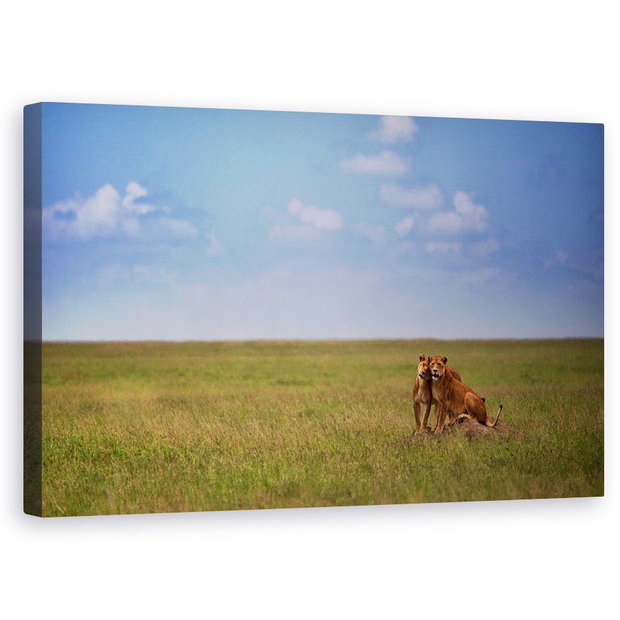 Tablou canvas - Spatele Meu, Salbatic, Natura, Animale, 50 x 80 cm