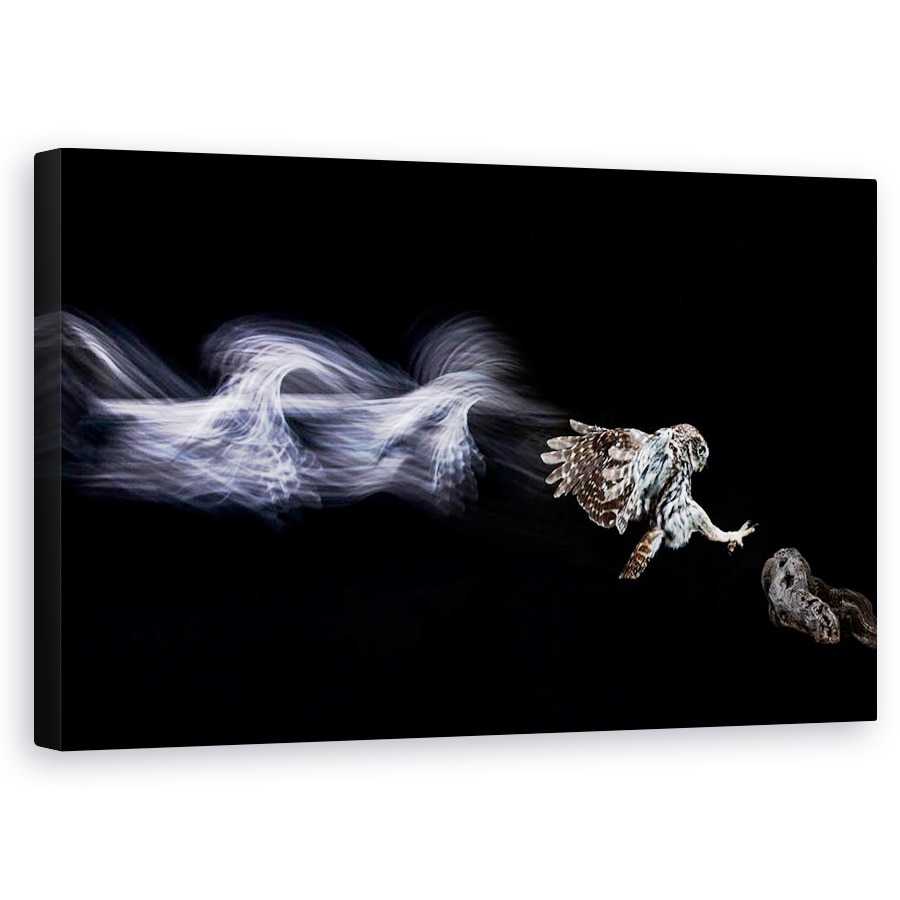 Tablou canvas - Inapoi In Viitor, Pasare, Bufnita, 50 x 80 cm