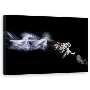Tablou canvas - Inapoi In Viitor, Pasare, Bufnita, 60 x 100 cm Tablou canvas - Inapoi In Viitor, Pasare, Bufnita, 60 x 100 cm