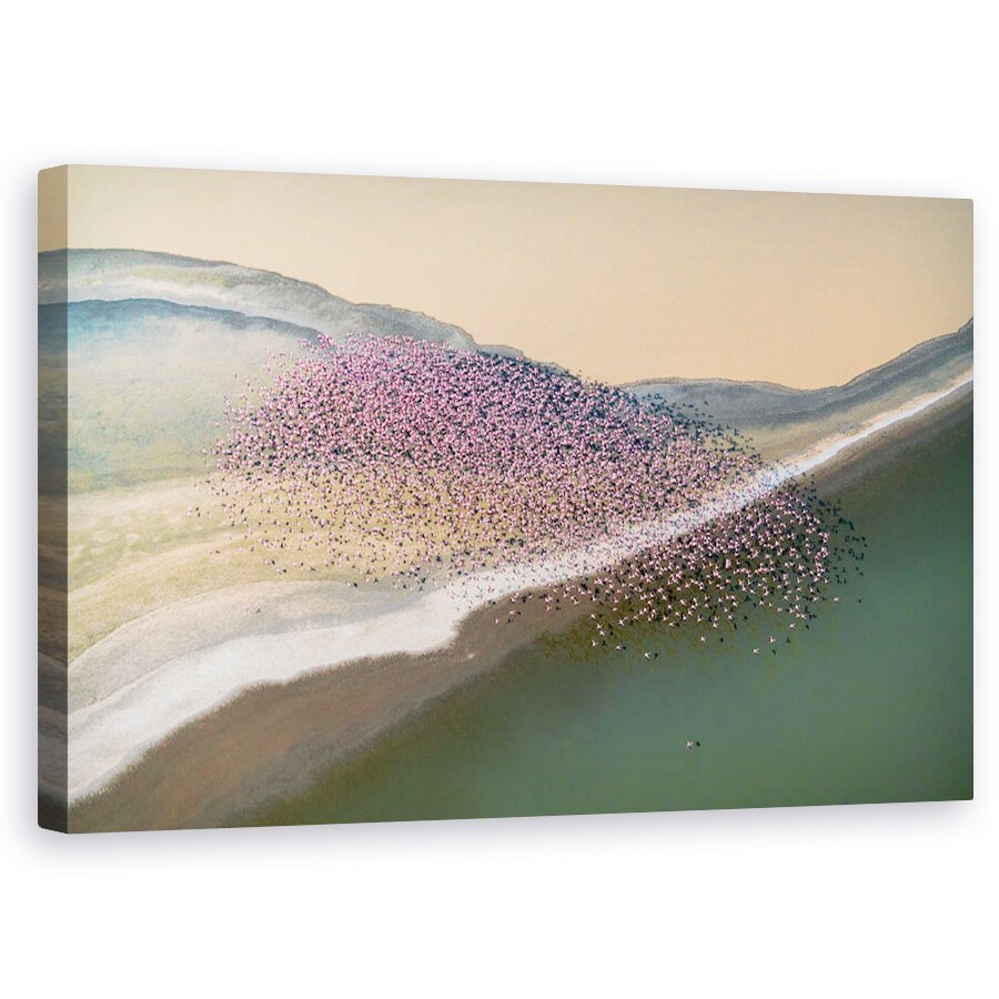 Tablou canvas - Pe Aripile Vantului, Kenya, Africa, Flamingo, Elicopter, Aeriana, 60 x 100 cm