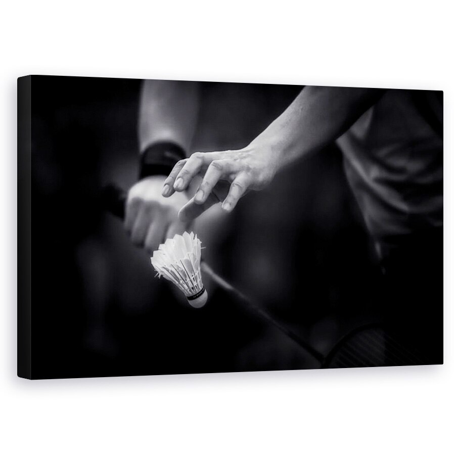 Tablou canvas - Focusare, Actiune, Badminton, Pana, Racheta, 50 x 80 cm