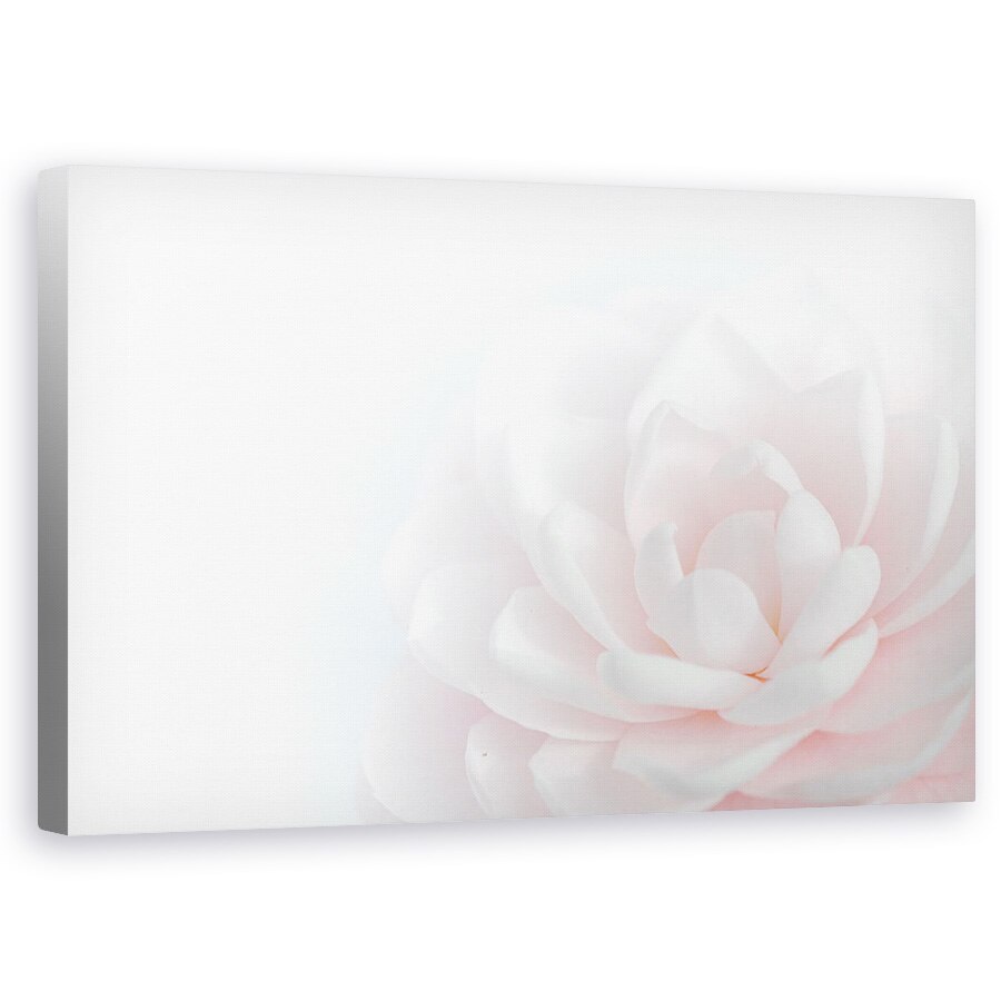 Tablou canvas - Frumusetea Tandra, Punct, Natura Moarta, Floare, 60 x 100 cm