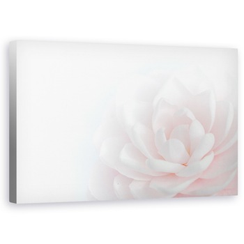 Tablou canvas - Frumusetea Tandra, Punct, Natura Moarta, Floare, 50 x 80 cm Tablou canvas - Frumusetea Tandra, Punct, Natura Moarta, Floare, 50 x 80 cm