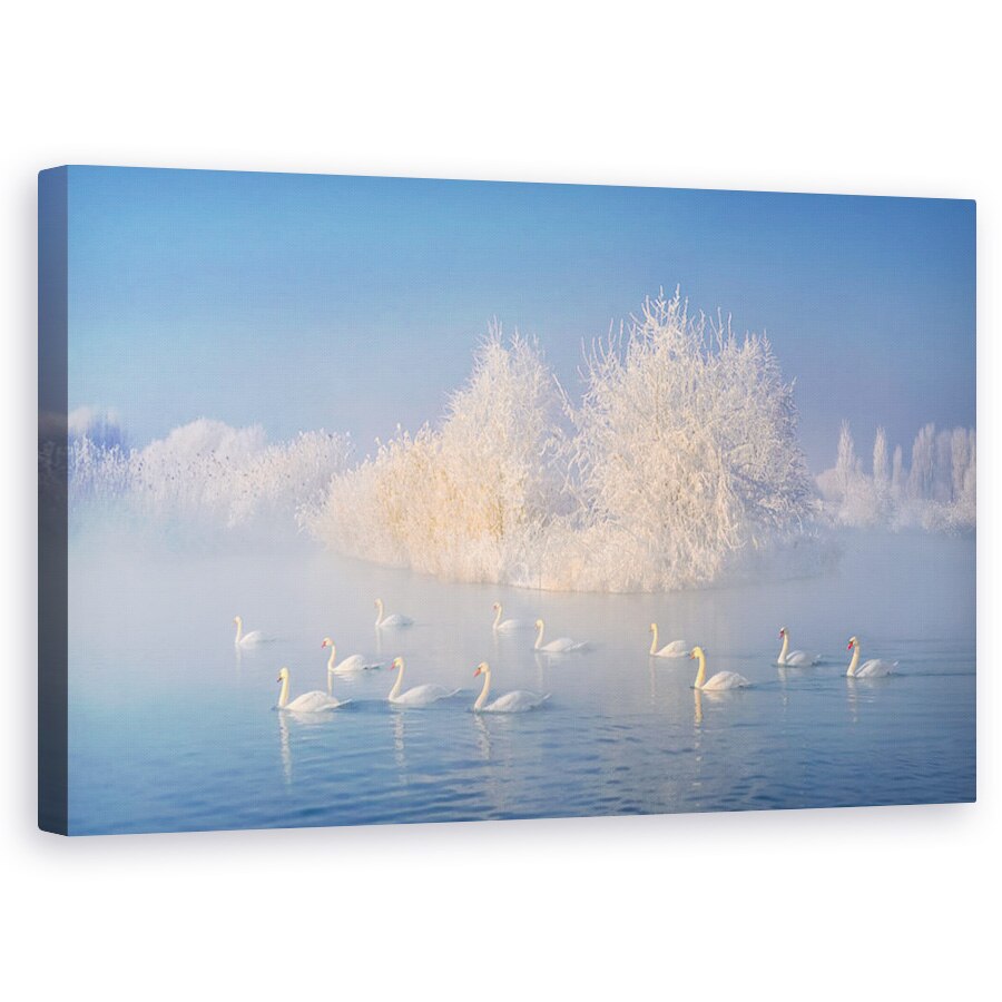 Tablou canvas - Lacul Lebedelor, Albastru, Lac, Iarna, Ceata, 60 x 100 cm