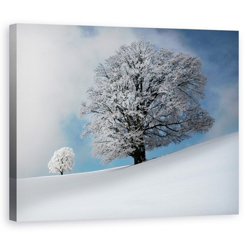 Tablou canvas - Sunt Cel Mai Frumos, Iarna, Copac, Peisaj, Zapada, Padure, 80 x 100 cm Tablou canvas - Sunt Cel Mai Frumos, Iarna, Copac, Peisaj, Zapada, Padure, 80 x 100 cm