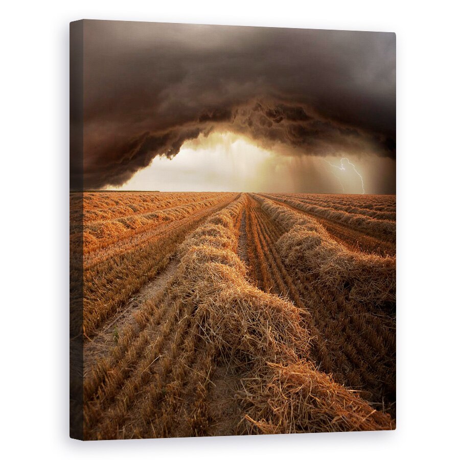 Tablou canvas - Furtuna, Fulgere, Furtuna, Nor, 80 x 100 cm