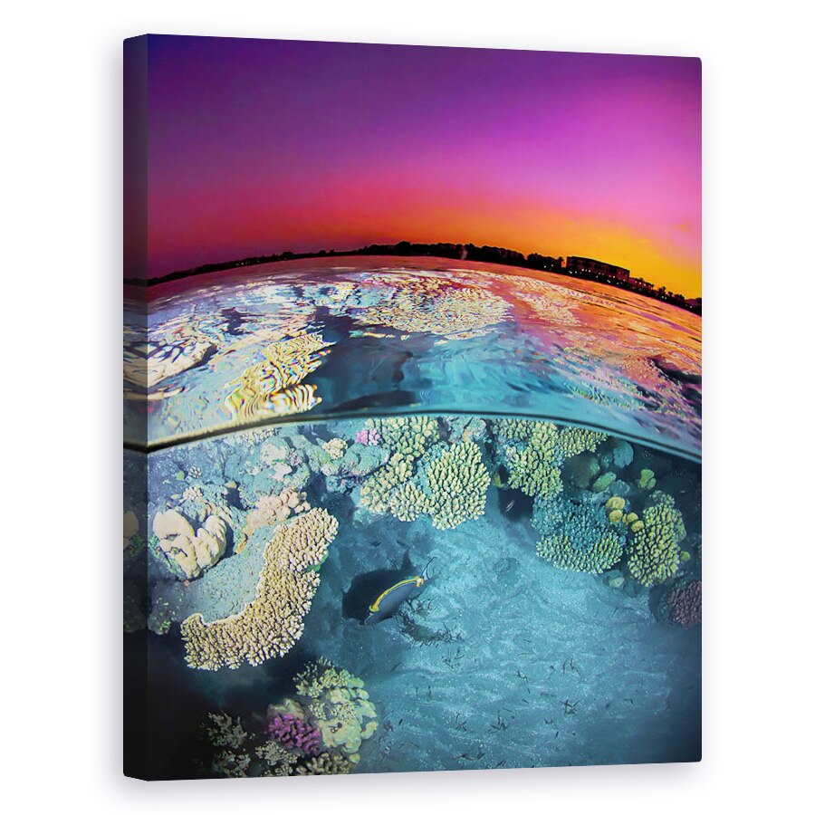 Tablou canvas - Amurg La Reciful De La Marea Rosie, Sub Apa, Colorat, 80 x 100 cm