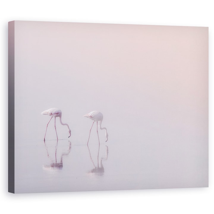 Картина на платно - Serenity 3, Кувейт, Животни, Фламинго, Птици, Крайбрежие, 80 x 100 cm