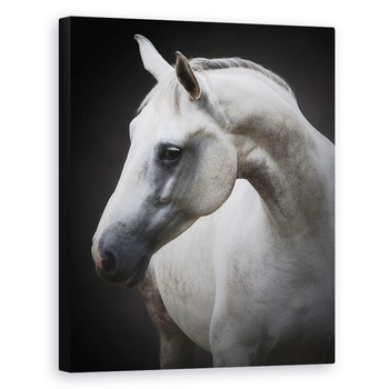 Tablou canvas - Maggie, Cal, Cai, Simplu, Animal, Animale, 40 x 50 cm Tablou canvas - Maggie, Cal, Cai, Simplu, Animal, Animale, 40 x 50 cm