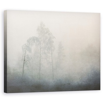 Tablou canvas - Inghet, Iarna, Inghet, Copaci, Ghemui, Ceata, 60 x 75 cm Tablou canvas - Inghet, Iarna, Inghet, Copaci, Ghemui, Ceata, 60 x 75 cm