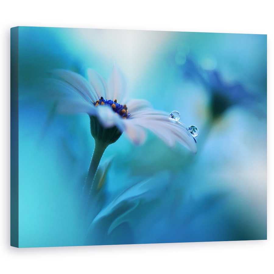 Tablou canvas - Dincolo De Aparente, Macro, Picatura, Apa, Floare, Reflectie, 60 x 75 cm