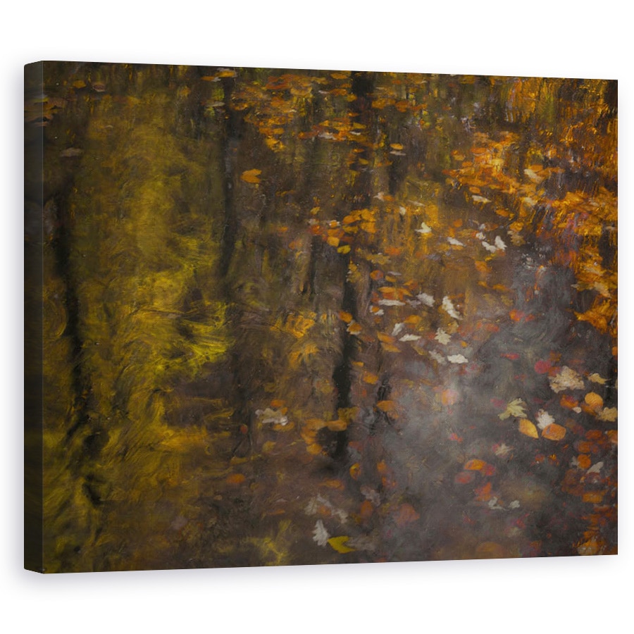 Tablou canvas - Impresie De Toamna, Frunze, Pictural, 60 x 75 cm