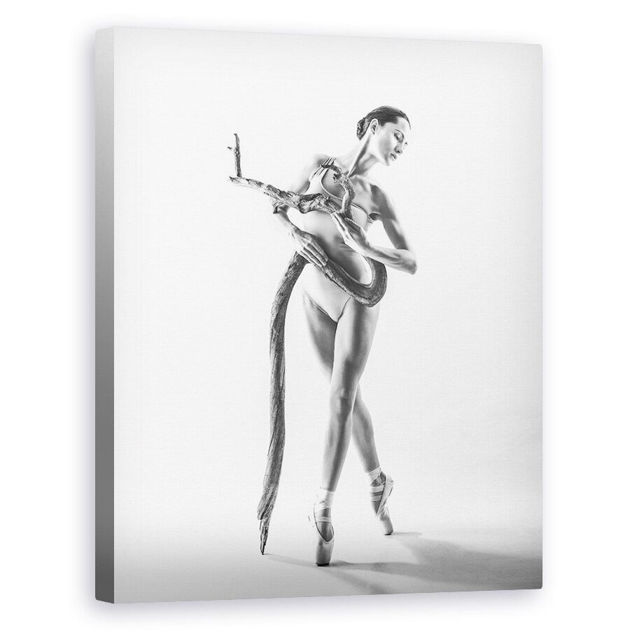 Tablou canvas - Femeie, Performanta, Femeie, Model, Gratios, 24 x 30 cm