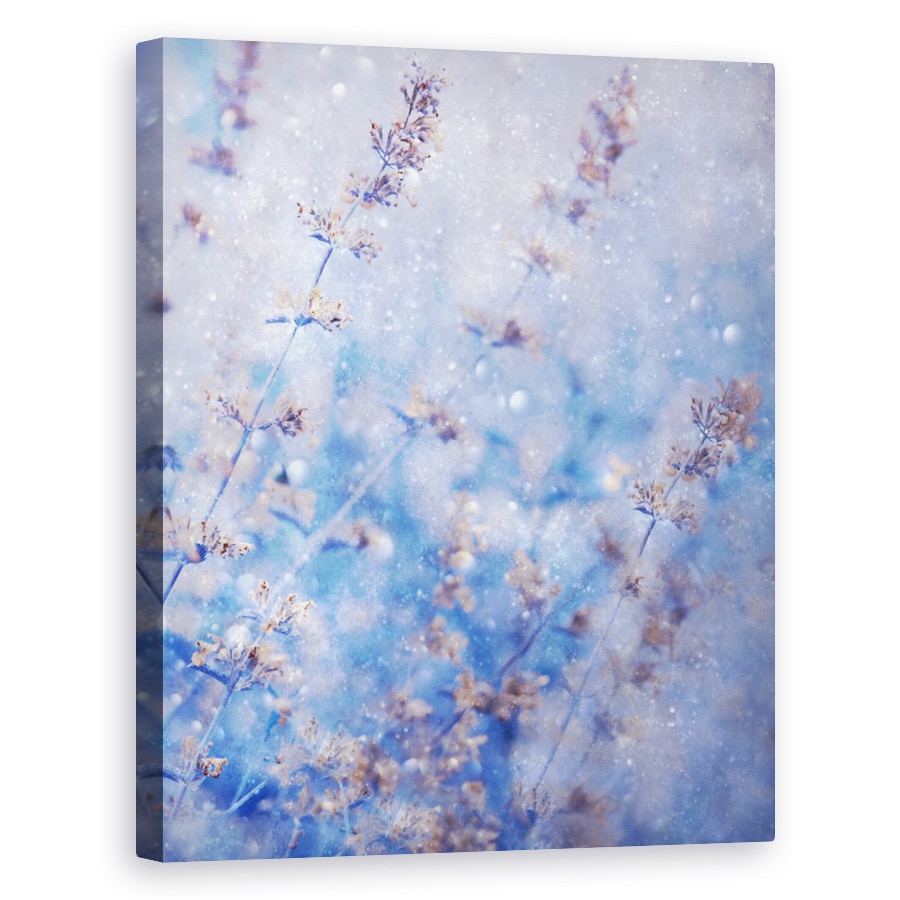 Tablou canvas - Iarna Timpurie, Craciun, Macro, Zapada, Ninge, 60 x 75 cm