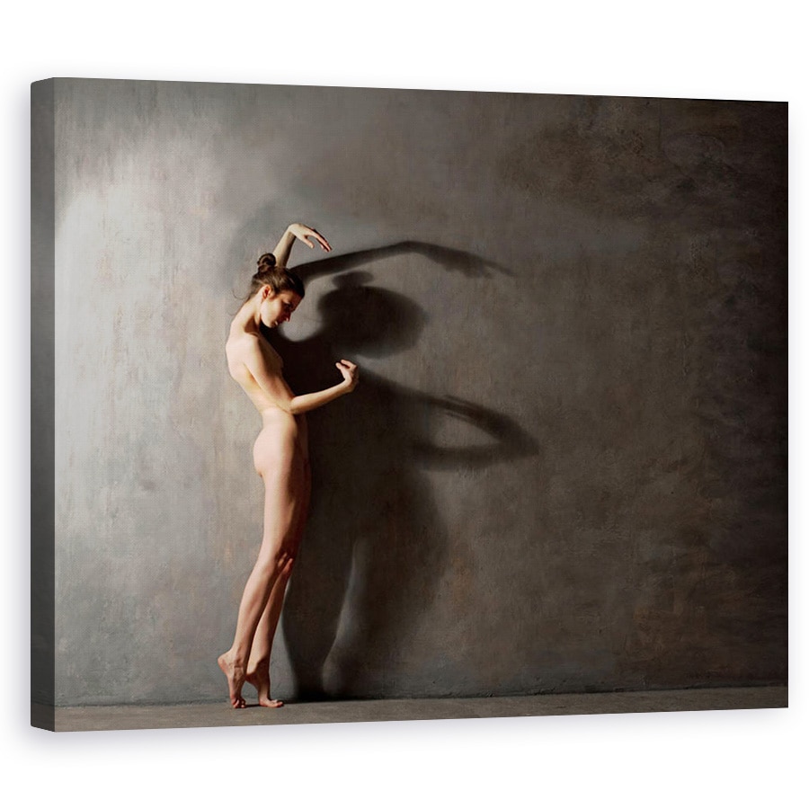 Tablou canvas - Dansator Din Umbra, Nud, Dezbracat, Fata, Model, 24 x 30 cm