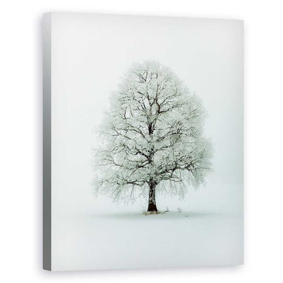 Tablou canvas - Nimloth, Copac, Zapada, Iarna, Alb, Hoar, 60 x 75 cm