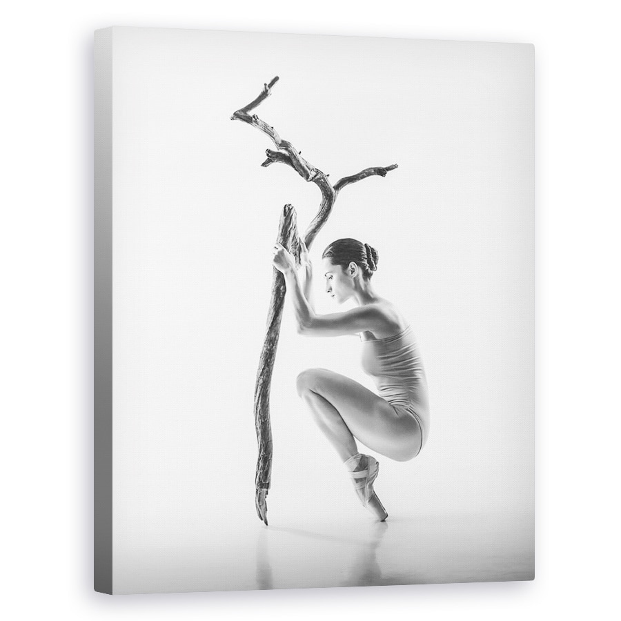 Tablou canvas - Copac, Punct, Punct, Ramura, Copac, Balet, 40 x 50 cm