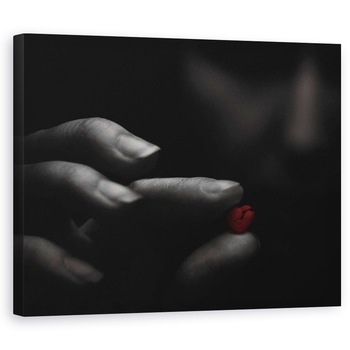 Tablou canvas - Inima Rosie Franta In Mainile Fetei Capricioase, Femeie, Intuneric, 60 x 75 cm Tablou canvas - Inima Rosie Franta In Mainile Fetei Capricioase, Femeie, Intuneric, 60 x 75 cm