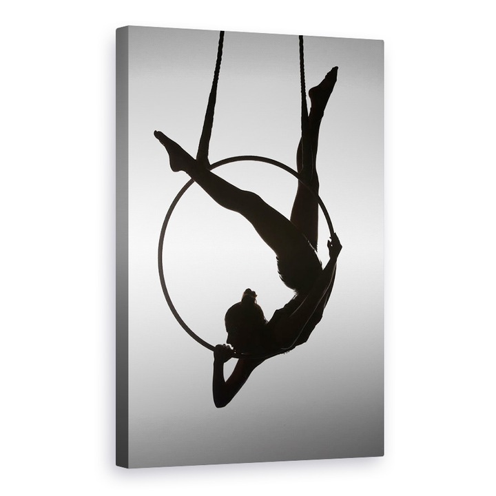 Картина на платно - Aerialist, Aerialist, Performer, Dancing, Circle, 60 x 90 cm