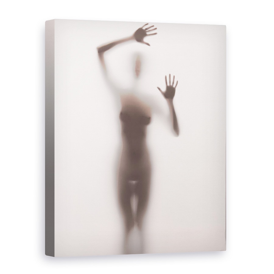 Tablou canvas - Ceata, Nud, Nud, Dezbracat, Figura, Silueta, 30 x 40 cm