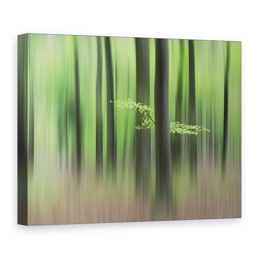 Tablou canvas - Dimineata De Primavara, Peisaj, Verde, Vara, Frunza, 90 x 120 cm
