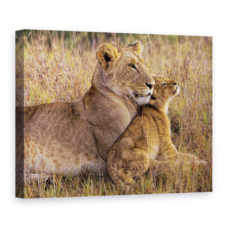 Tablou canvas - Pui De Leu Cu Mama Sa, Leoaica, Copil, Cub, 30 x 40 cm