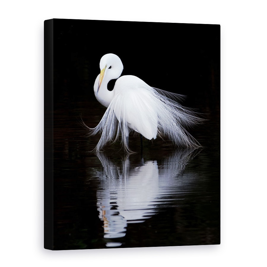 Tablou canvas - Privind, Pasare, Alb, Contrast, Reflectie, Animal, 90 x 120 cm