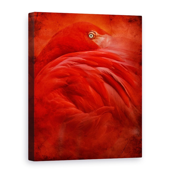 Tablou canvas - Tropicale, Flamingo, Roz, Pasari, Rosu, Animal, 50 x 70 cm