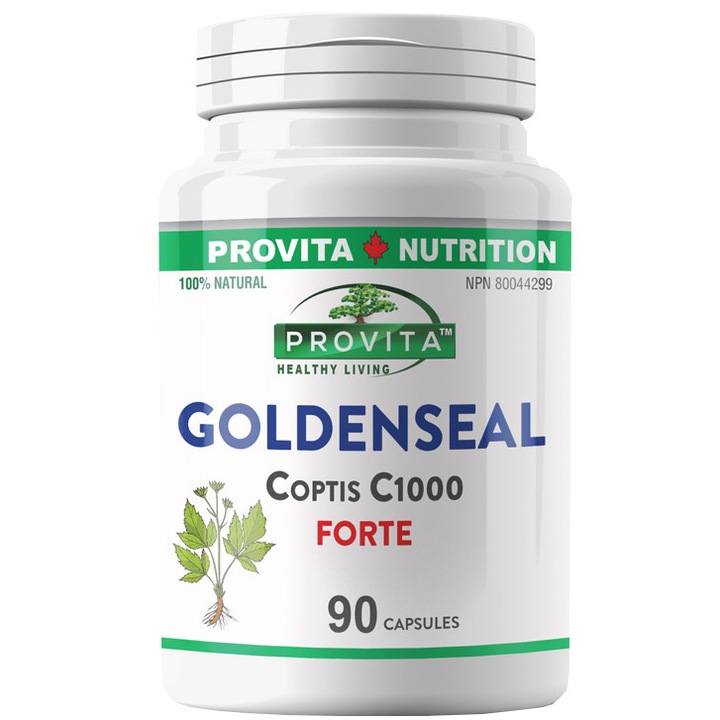 Supliment alimentar Goldenseal Coptis C. Forte 1000, 90 caps, Provita Nutrition
